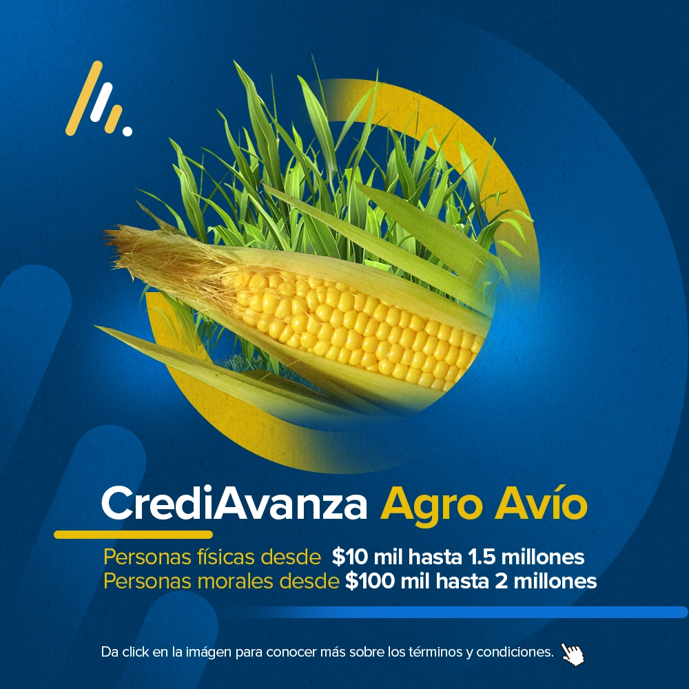CrediAvanza Habilitación o Avío